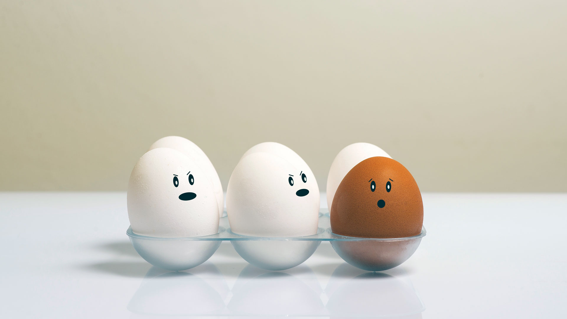 /PROFESYONEL ve ŞEFFAF